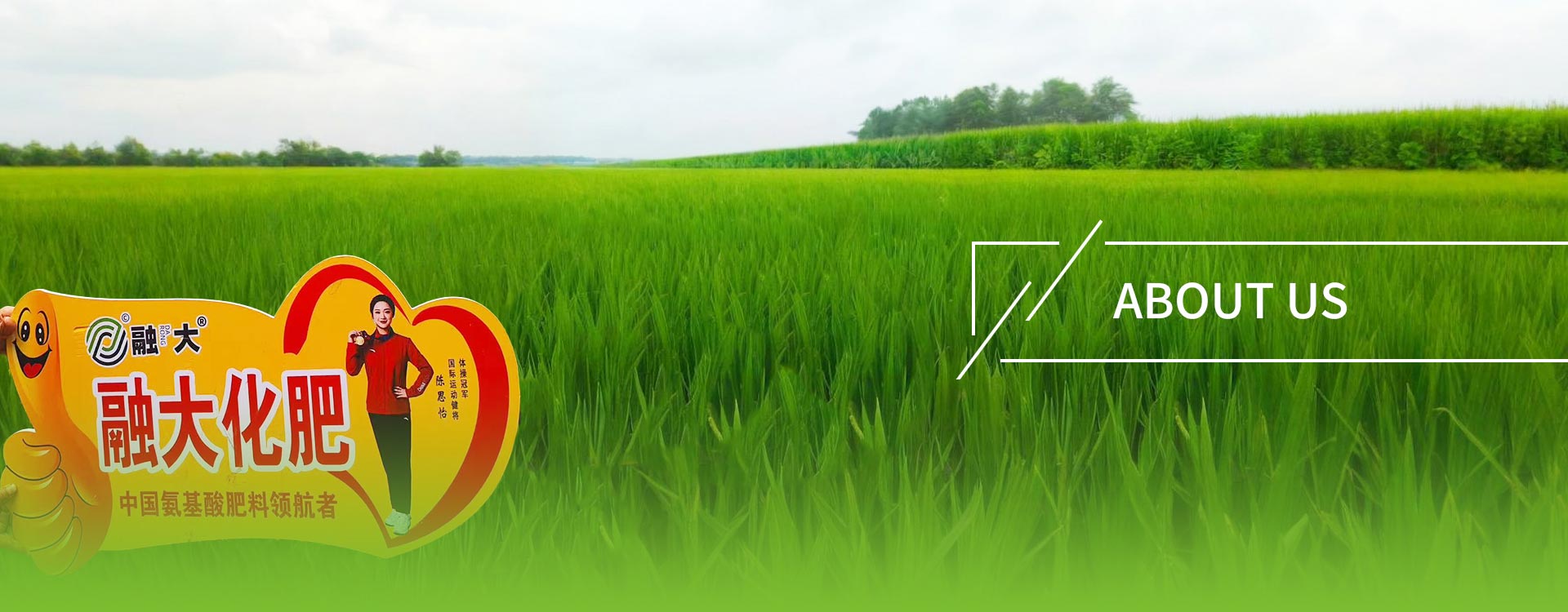 Сілтемелер